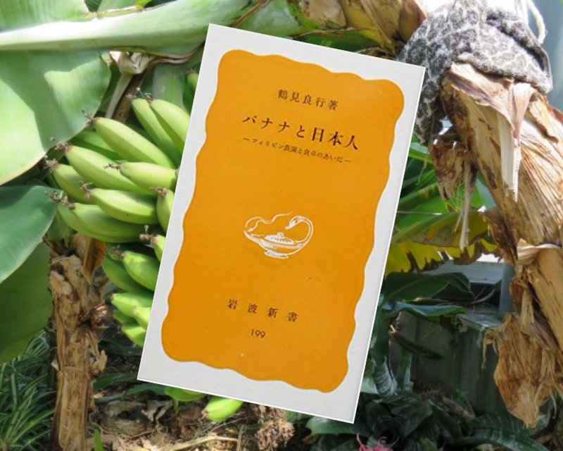 『バナナと日本人ーフィリピン農園と食卓のあいだ』 （岩波新書） はバナナの9割を生産するミンダナオ島大農園の真実を描く