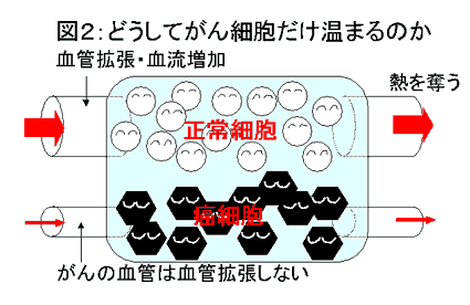 熱を逃がすことが出来ずに細胞が死んでしまう