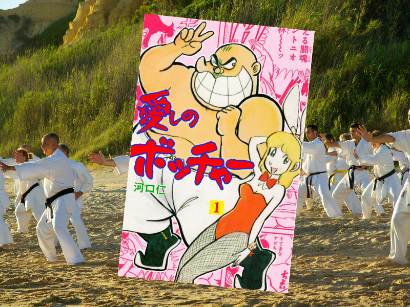 愛しのボッチャー（河口仁、グループ・ゼロ）は、人気プロレスラーだったアブドーラ・ザ・ブッチャーをモデルとしたギャグ漫画
