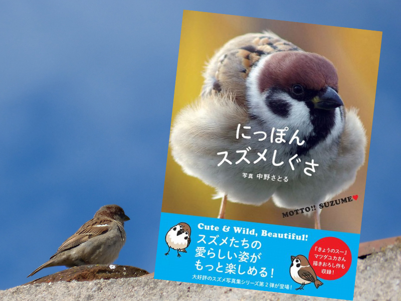 にっぽんスズメしぐさ（中野さとる著、カンゼン）はスズメの写真集です。マツダユカさん描きおろし漫画『きょうのスー』も収載