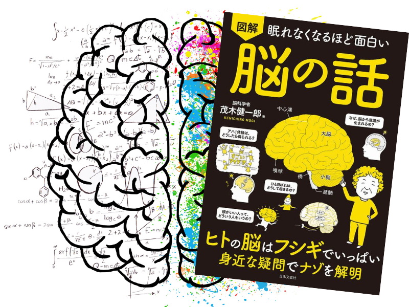 眠れなくなるほど面白い図解脳の話（茂木健一郎著、日本文芸社）は、科学最大の謎といわれる不思議なヒトの脳に関する謎を解明