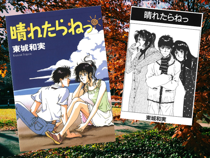晴れたらねっ(東城和実著、白泉社)は、主人公の高校生が、性格は対象的な双子の女子大生との微笑ましい三角関係を描く