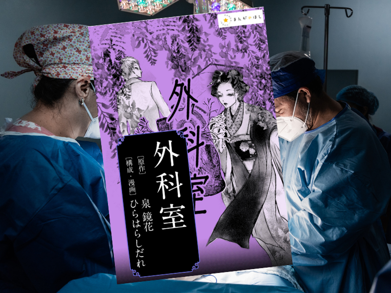 泉鏡花『外科室』―あの極限の文学作品を美麗漫画で読む。(漫画/ひらはらしだれ、興陽館)は、泉鏡花による短編小説の漫画化