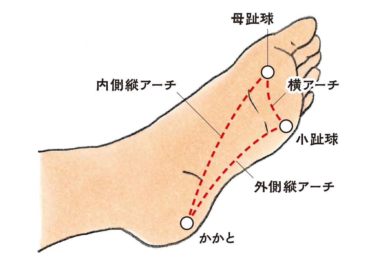 足裏アーチ