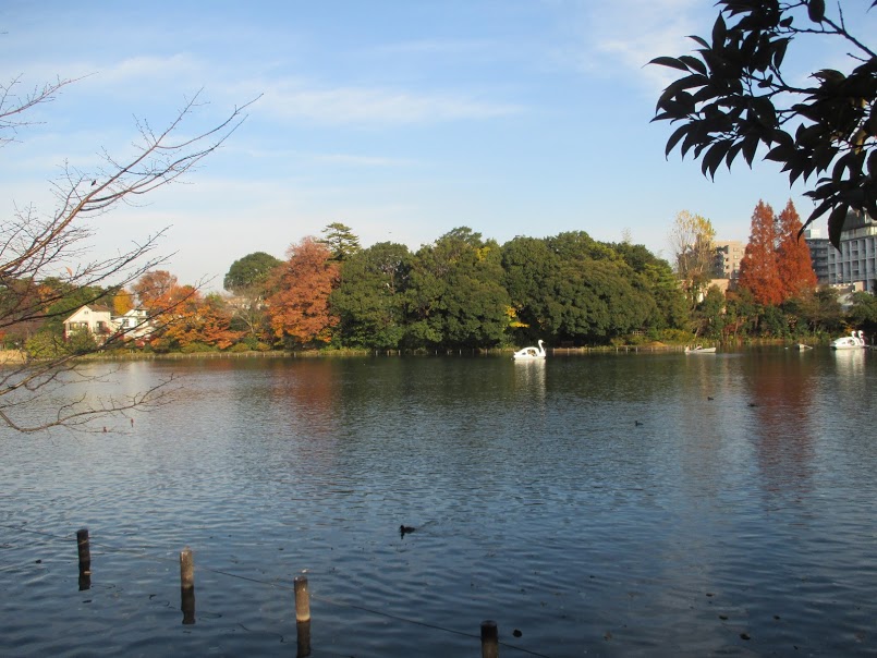 洗足池（大田区）は武蔵野台地の湧水をせきとめた池で日蓮聖人が足を洗ったとされ豊かな自然が四季折々の表情を見せる