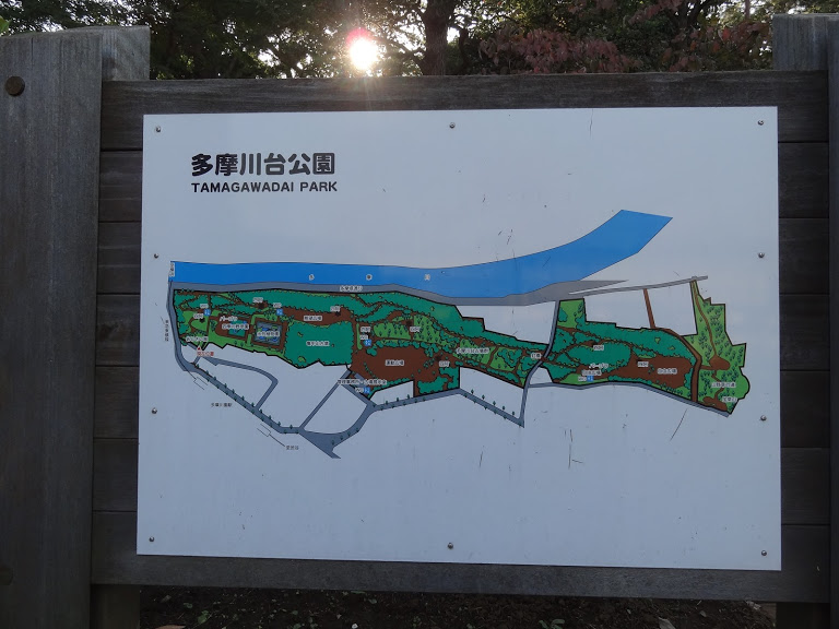 多摩川台公園