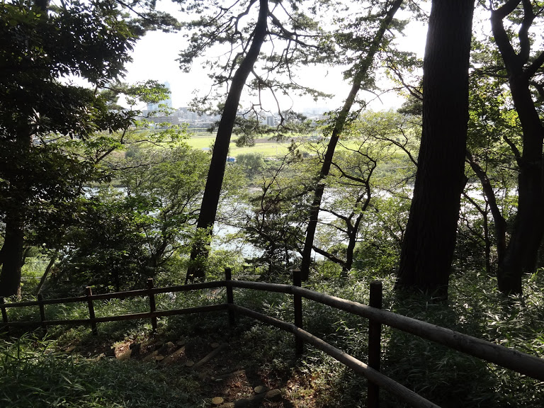 公園からは多摩川がのぞめます""
